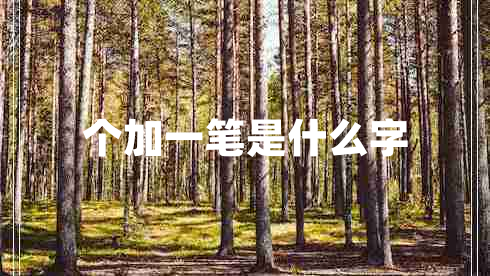 個加一筆是什么字