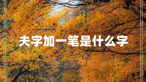 夫字加一筆是什么字