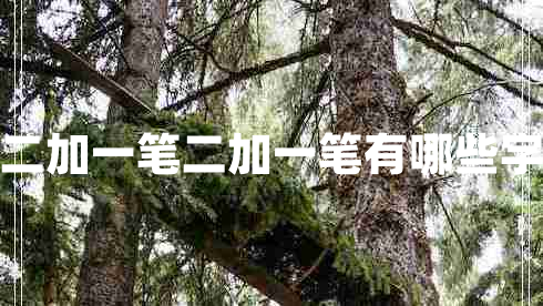 二加一筆二加一筆有哪些字 二加一筆二加一筆有哪些字