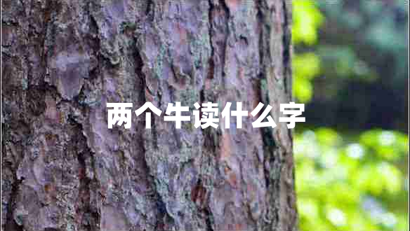 兩個牛讀什么字