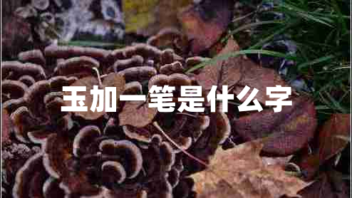 玉加一筆是什么字