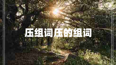壓組詞壓的組詞
