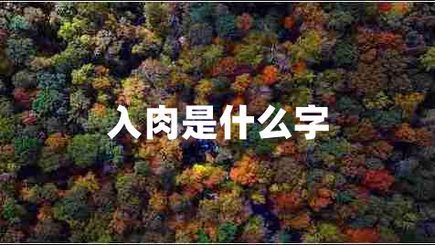 入肉是什么字