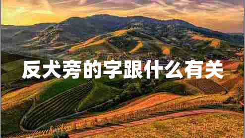 反犬旁的字跟什么有關(guān) 反犬旁的字跟什么有關(guān)