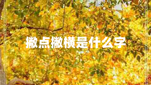 撇點撇橫是什么字 撇點撇橫是什么字