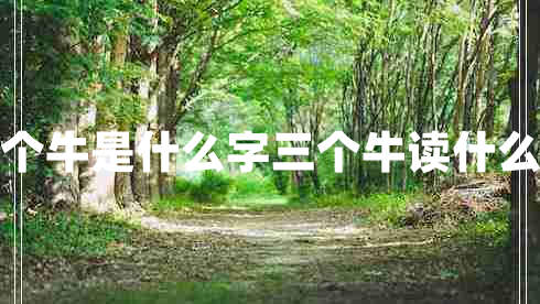 三個牛是什么字三個牛讀什么字