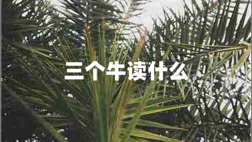 三個(gè)牛讀什么