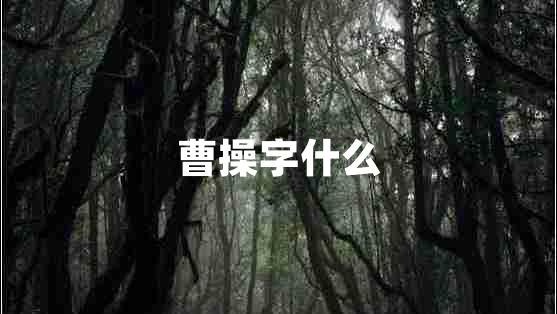 曹操字什么 曹操字什么