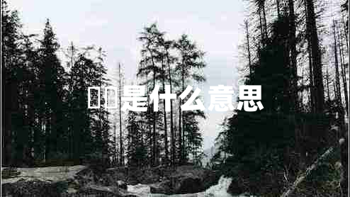 嫑忈是什么意思