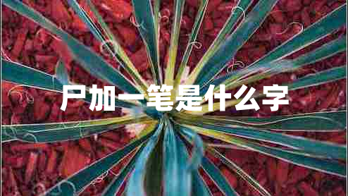 尸加一筆是什么字 尸加一筆是什么字