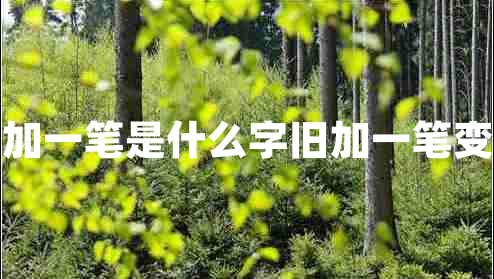 舊加一筆是什么字舊加一筆變字