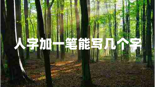 人字加一筆能寫(xiě)幾個(gè)字 人字加一筆能寫(xiě)幾個(gè)字
