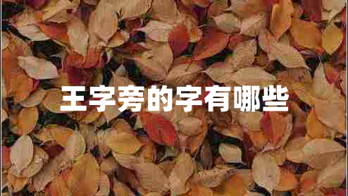 王字旁的字有哪些