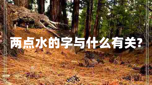 兩點(diǎn)水的字與什么有關(guān)?