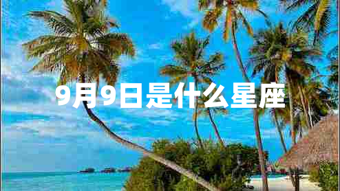 9月9日是什么星座