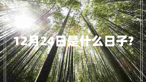 12月24日是什么日子?
