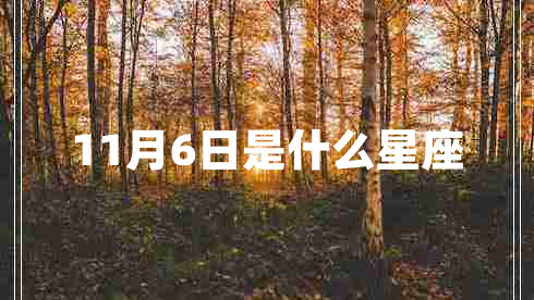 11月6日是什么星座 11月6日是什么星座
