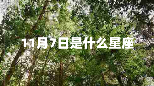 11月7日是什么星座