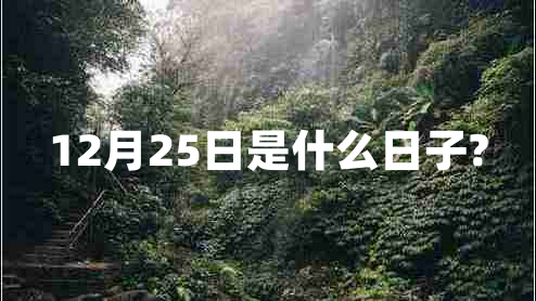 12月25日是什么日子?