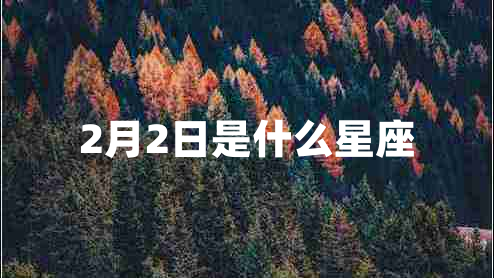 2月2日是什么星座