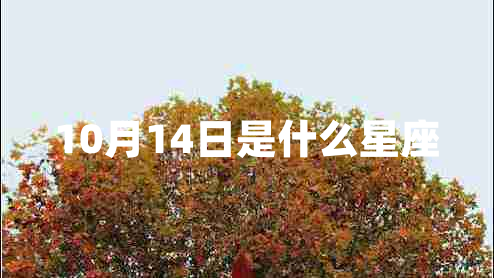 10月14日是什么星座 10月14日是什么星座