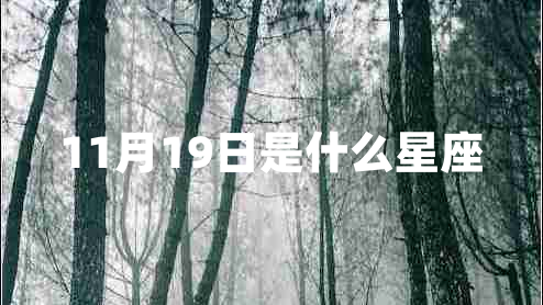 11月19日是什么星座 11月19日是什么星座