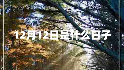 12月12日是什么日子