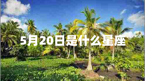 5月20日是什么星座 5月20日是什么星座