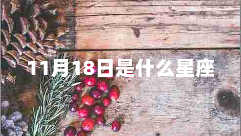 11月18日是什么星座