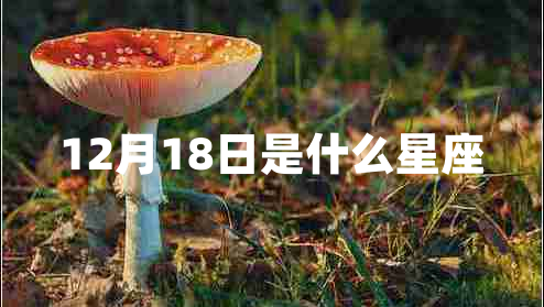 12月18日是什么星座 12月18日是什么星座