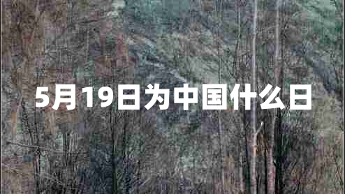 5月19日為中國什么日