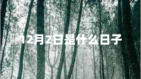 12月2日是什么日子