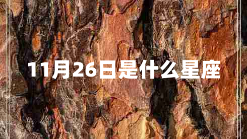 11月26日是什么星座