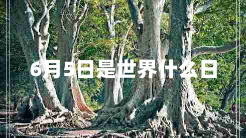 6月5日是世界什么日