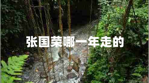 張國榮哪一年走的 張國榮哪一年走的