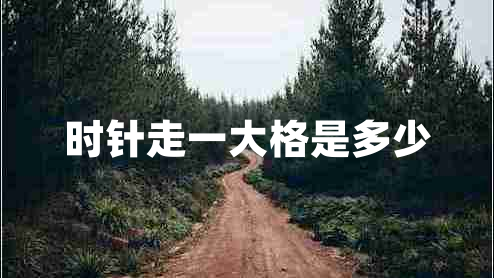 時(shí)針走一大格是多少