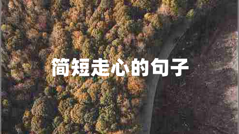 簡(jiǎn)短走心的句子