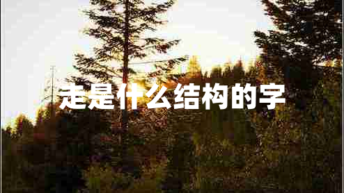 走是什么結(jié)構(gòu)的字 走是什么結(jié)構(gòu)的字