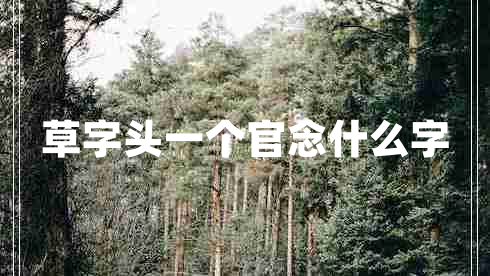 草字頭一個官念什么字