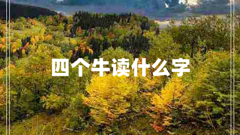 四個牛讀什么字