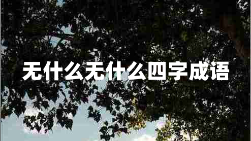 無什么無什么四字成語
