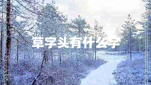 草字頭有什么字 草字頭有什么字