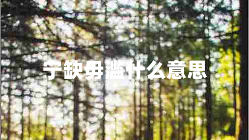 寧缺毋濫什么意思