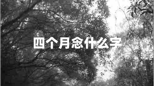 四個(gè)月念什么字