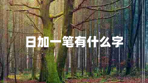 日加一筆有什么字