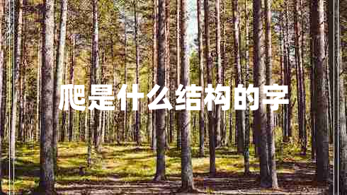 爬是什么結(jié)構(gòu)的字