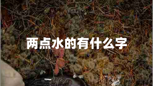 兩點(diǎn)水的有什么字 兩點(diǎn)水的有什么字