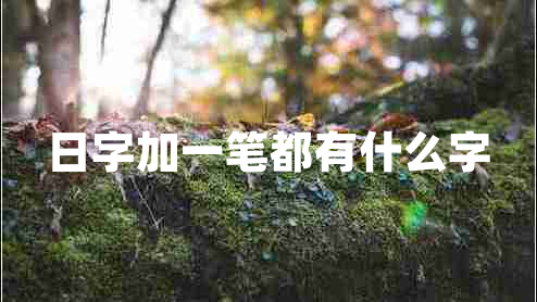 日字加一筆都有什么字