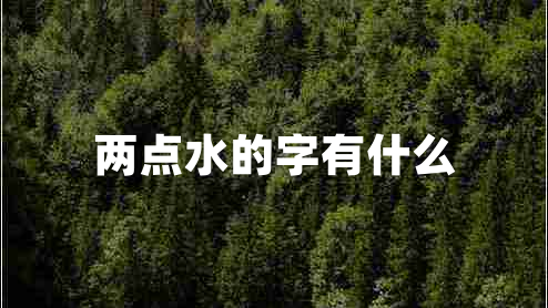兩點水的字有什么