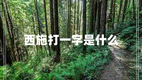 西施打一字是什么